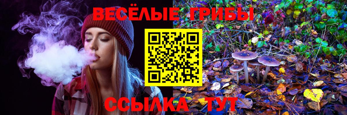 Тамбов  Псилоцибиновые грибы ЛСД  Вход с VPN 