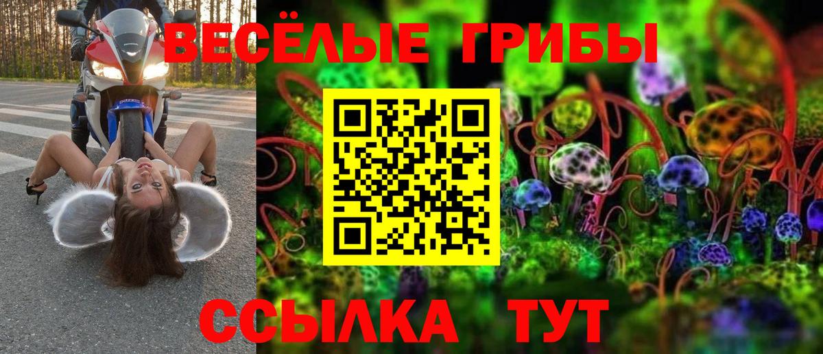 Галлюциногенные грибы Psilocybine cubensis Тамбов